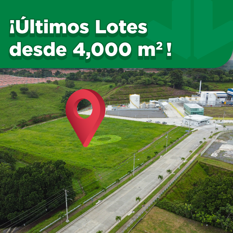 últimos lotes
